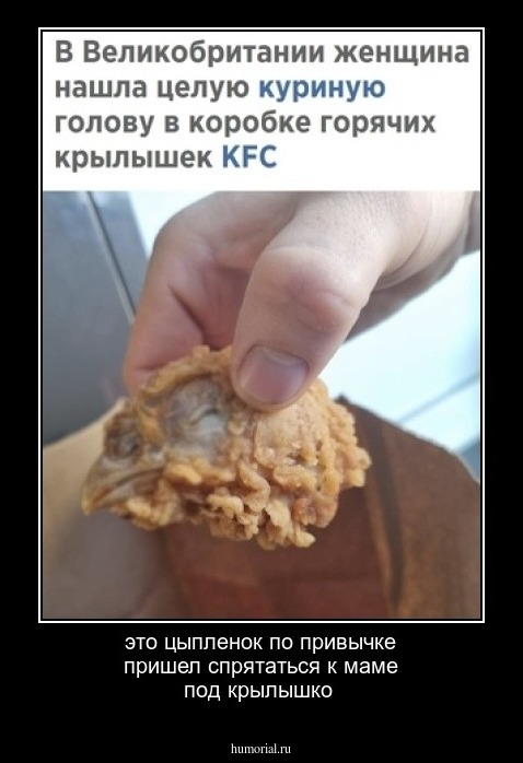 это цыпленок по привычке пришел спрятаться к маме под крылышко