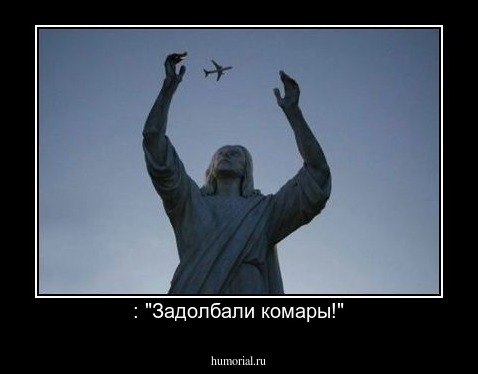  : "Задолбали комары!"