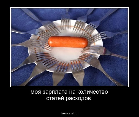 моя зарплата на количество статей расходов