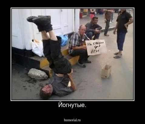  Йогнутые.