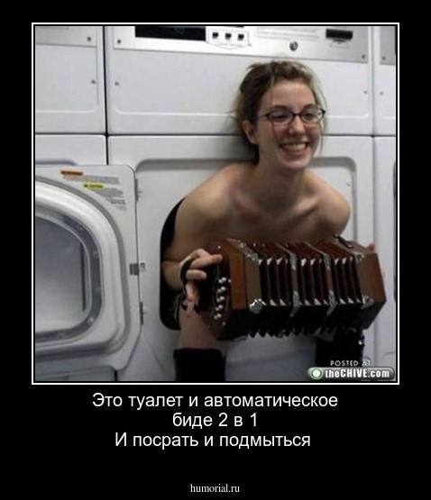 Это туалет и автоматическое  биде 2 в 1
И посрать и подмыться