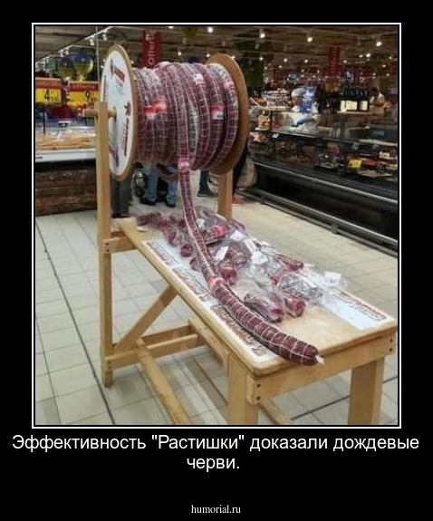 Эффективность "Растишки" доказали дождевые черви.