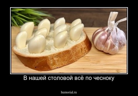 В нашей столовой всё по чесноку