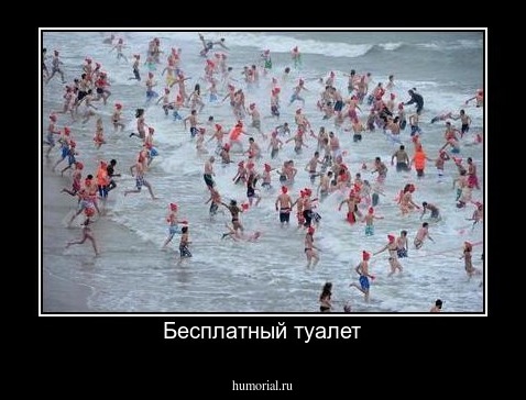 Бесплатный туалет