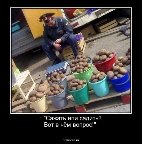  : "Сажать или садить? Вот в чём вопрос!"