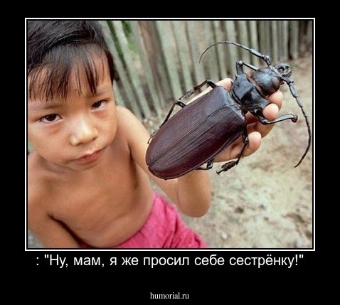 : "Ну, мам, я же просил себе сестрёнку!"