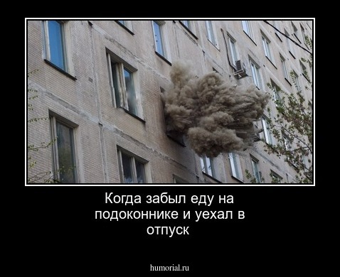 Когда забыл еду на подоконнике и уехал в отпуск
