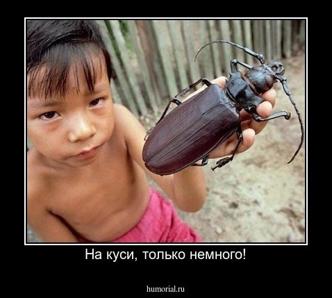 На куси, только немного!