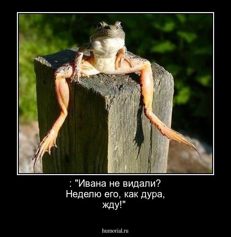  : "Ивана  не видали? Неделю его, как дура, жду!"