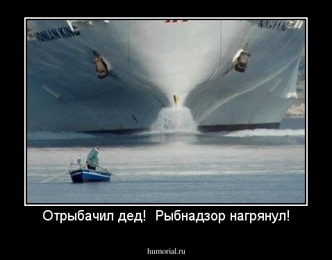 Отрыбачил дед!  Рыбнадзор нагрянул!