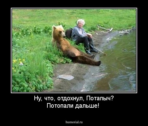 Ну, что, отдохнул, Потапыч? Потопали дальше!