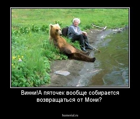  Винни!А пяточек вообще собирается возвращаться от Мони?