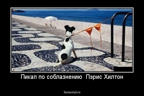 Пикап по соблазнению  Пэрис Хилтон