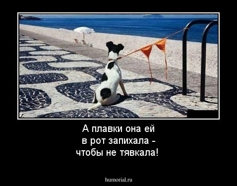 А плавки она ей в рот запихала - чтобы не тявкала!