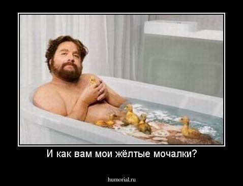 И как вам мои жёлтые мочалки?