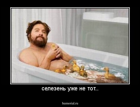 селезень уже не тот..