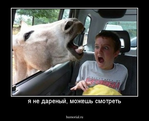 я не дареный, можешь смотреть