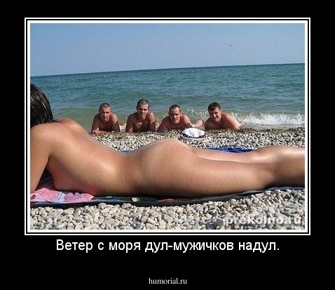 Ветер с моря дул-мужичков надул.