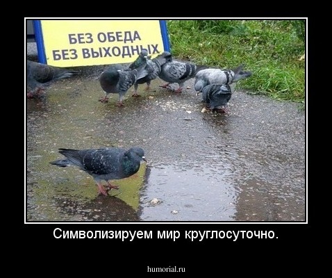 Символизируем мир круглосуточно.