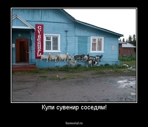 Купи сувенир соседям!