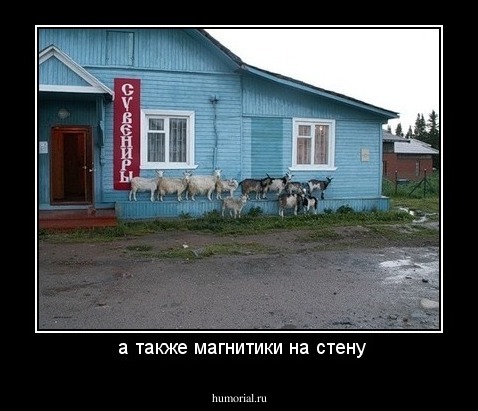  а также магнитики на стену