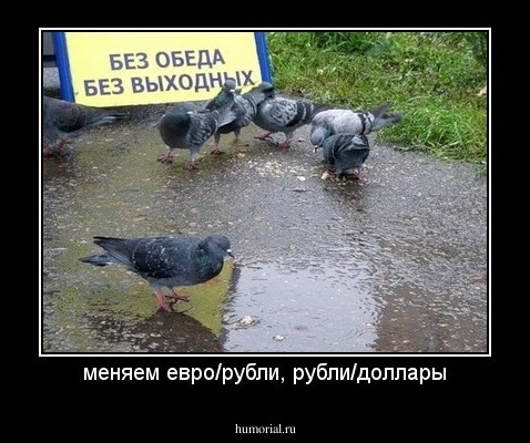 меняем евро/рубли, рубли/доллары