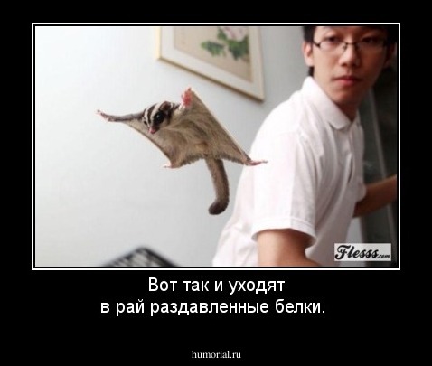 Вот так  и уходят в рай раздавленные белки.