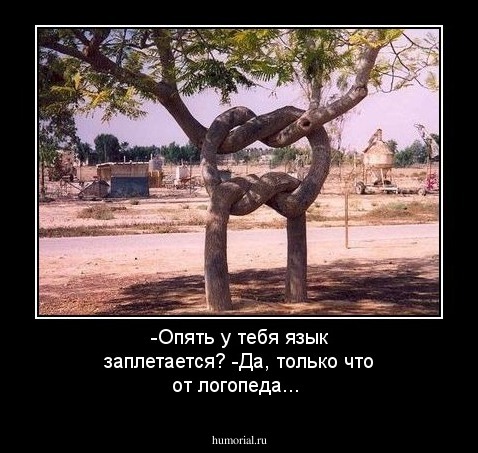 -Опять у тебя язык заплетается?
-Да, только что от логопеда...