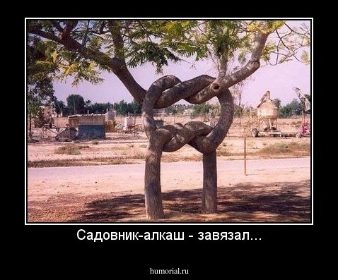 Садовник-алкаш - завязал...