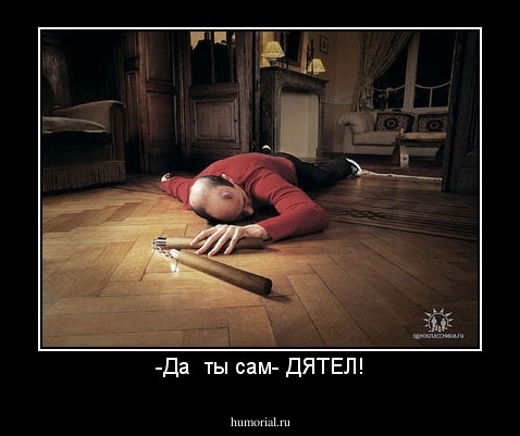 -Да  ты сам- ДЯТЕЛ!