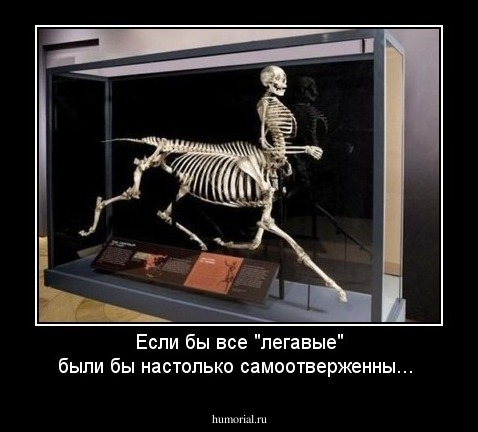 Если бы все "легавые" были бы настолько самоотверженны...