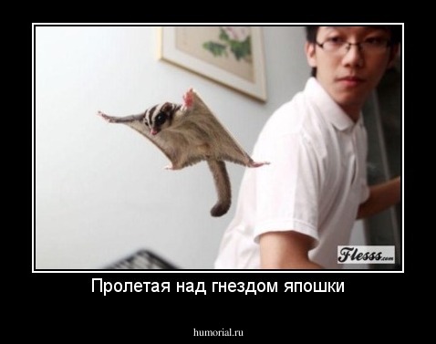 Пролетая над гнездом япошки