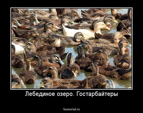 Лебединое озеро. Гостарбайтеры