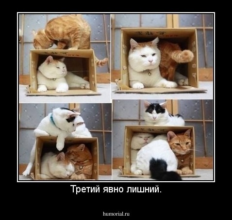 Третий явно лишний.