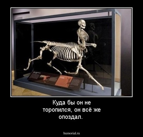 Куда бы он не торопился, он всё же опоздал.