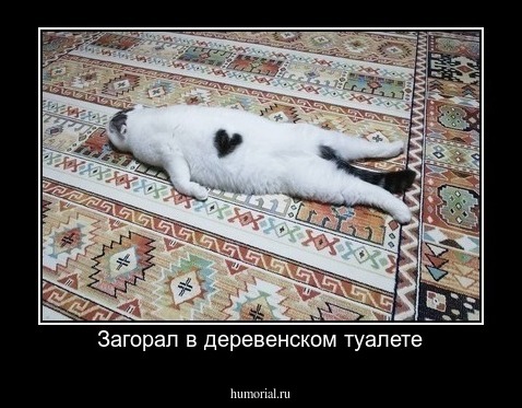 Загорал в деревенском туалете