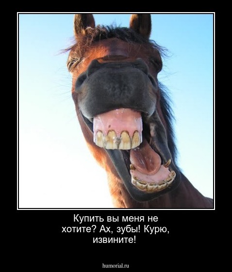  Купить вы меня не хотите? Ах, зубы! Курю, извините!