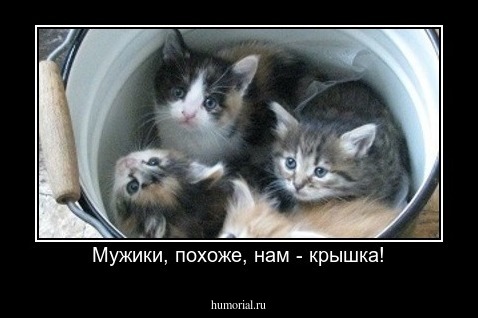 Мужики, похоже, нам - крышка!