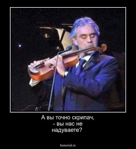 А вы точно скрипач, - вы нас не надуваете?