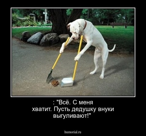  : "Всё. С меня хватит. Пусть дедушку внуки выгуливают!"