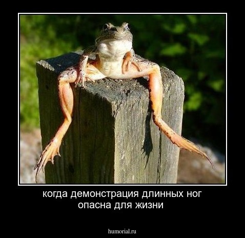 когда демонстрация длинных ног опасна для жизни