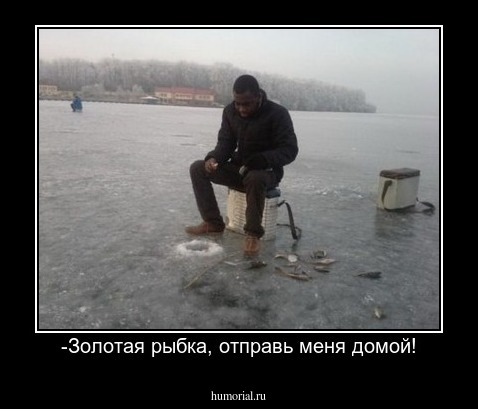 -Золотая рыбка, отправь меня домой!