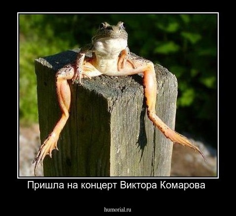Пришла на концерт Виктора Комарова 