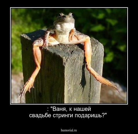  : "Ваня, к нашей свадьбе стринги подаришь?"