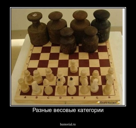 Разные весовые категории