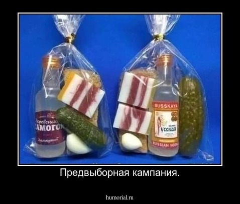 Предвыборная кампания.