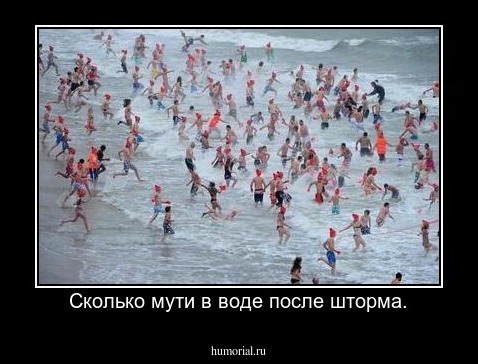 Сколько мути в воде после шторма.