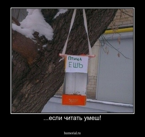...если читать умеш!