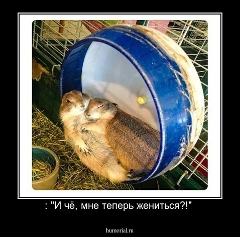  : "И чё, мне теперь жениться?!" 