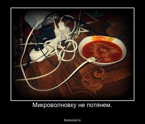 Микроволновку не потянем.